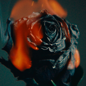 白丝美女被操出白色不明液体
