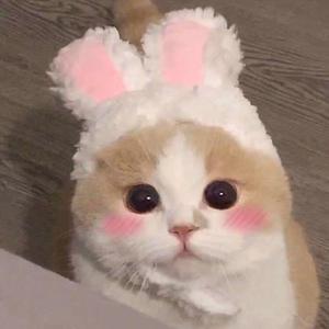 白丝美女被操出白色不明液体
