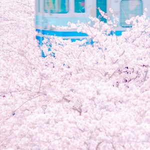 白丝美女被操出白色不明液体
